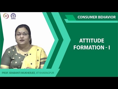 Attitude Formation I