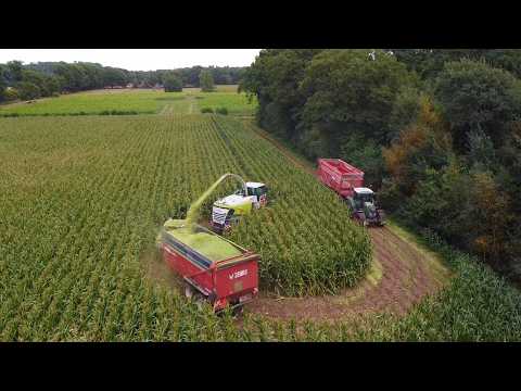 2025 Geurs chopping corn