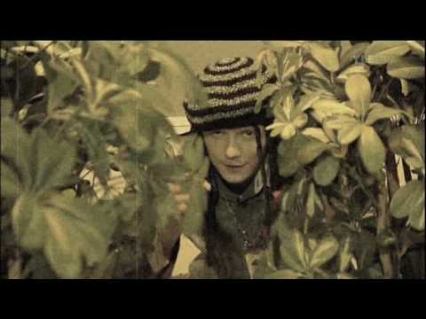 Radio Millennium: Lentävä hasiskukko