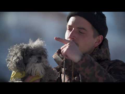 Cale Zima - Absinthe Eversince  - Orignal Edit