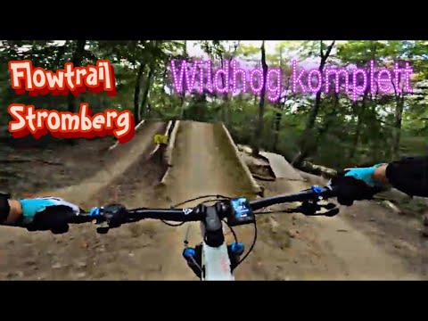 Flowtrail Stromberg Wildhog komplett