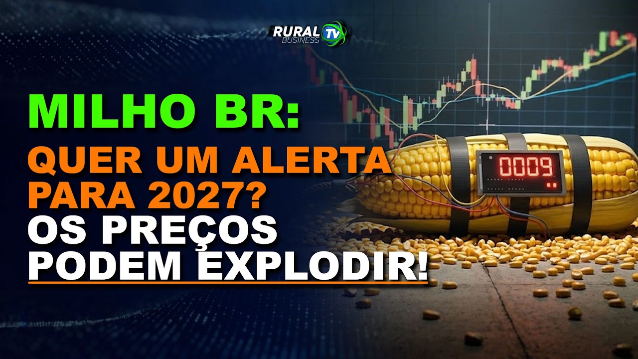 MILHO BR: QUER UM ALERTA PARA 2027? OS PREÇOS PODEM EXPLODIR!