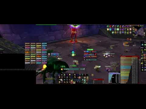 WoW Classic Warlock Tank AQ40 Twin Emperors (2025-08-19)