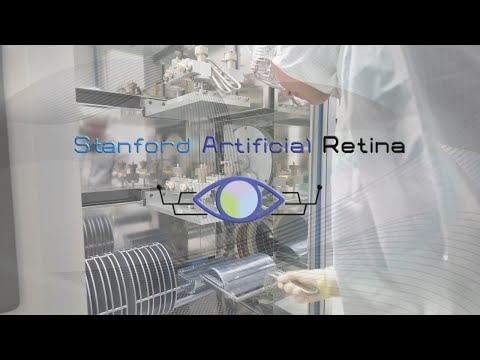 The Stanford Artificial Retina Project: "Speak the Language"