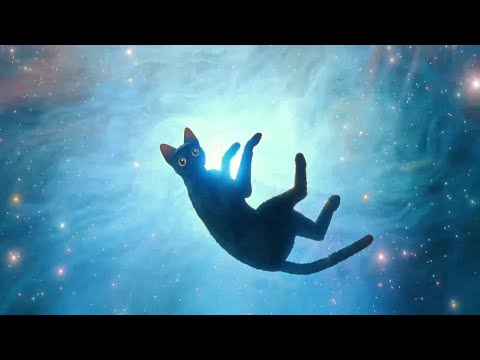 Flow movie - Secretarybird Scene