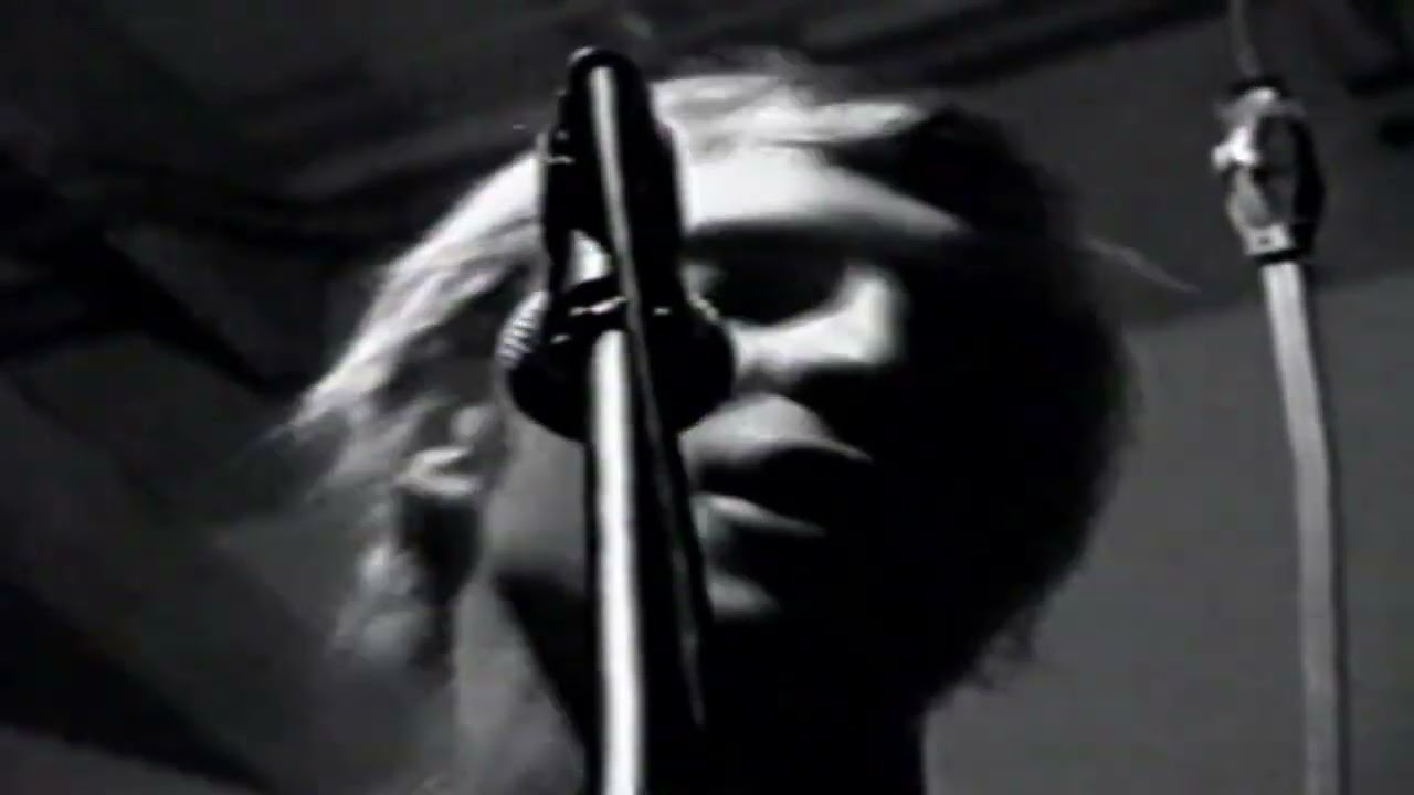 Promotional video thumbnail 1 for Zippy Josh & the Rag Tag Band