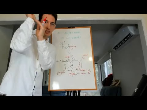 11. Tattva Bodha: Your Nature = Sat-Cit-Ananda & How Happiness Happens