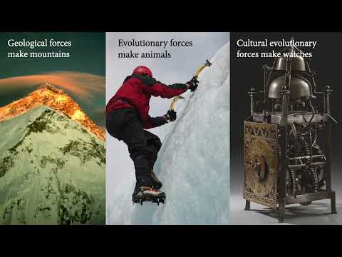 01: Natural Selection - Evolutionary Anthropology Fall 2026