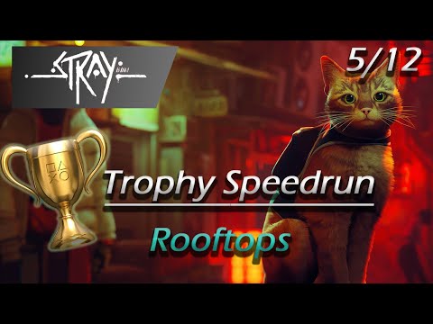Stray: Chapter 5/12 - Rooftops - Trophy speedrun (I Am Speed)