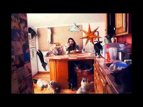 Crazy Cat Lovers by Andréanne Lupien