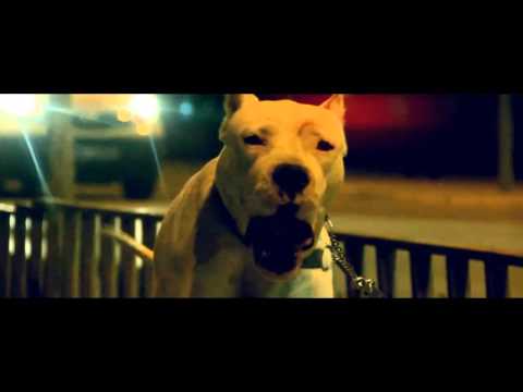 SHFABA - MONEY [OFFICIAL TRAILER] COMING SOON