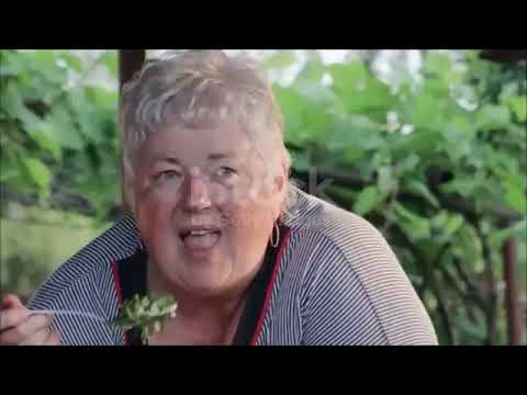 Slim Over 55 Program Review 2020 - How To Lose Weight Over 50 – Don't Buy It Until You Watch This!