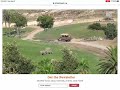 HW1 San Diego Wild Animal Park Rhinos Wildebeast