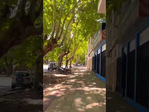 Es sumamente placentero poder caminar bajo la sombra de la avenida #españa en #lujan #walking #tour