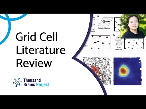 Grid Cell Literature Review