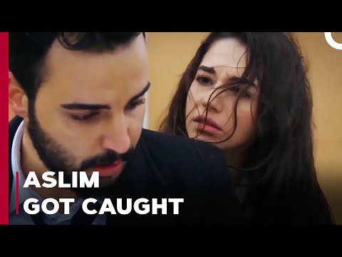 Aslım Is Caught With Kaan - Can't Stop Loving You