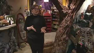 Go on a wild journey through Astoria’s ‘Weird Sisters Freak Boutique’