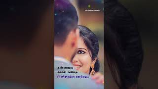 Kannale Kadhal Kavithai  Ilayaraja Song  Tamil Wha