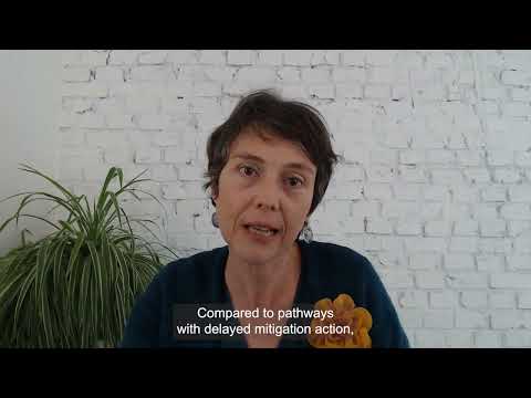 IPCC Climate Change 2022: Mitigation on Climate Change - IPCC Author Celine Guivarch