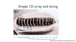 ML lab 08: Tensor Manipulation