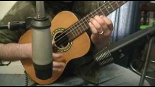 The Bird That You Can&#39;t See (Apples in Stereo Cover)