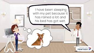 past perfect and past perfect continuous