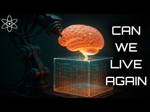 Sleepy Science | Life After Death in a Simulation