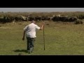 Mud Walking