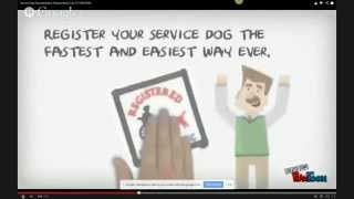 Buy Service Dog Certificate USA & CANADA (video instruction) CALL 717-889-8036