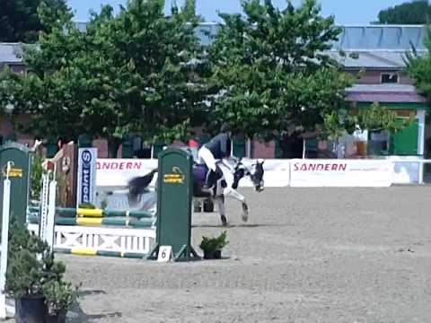 Haren 2013 Standart Spring WB mit Tinker Sullivan