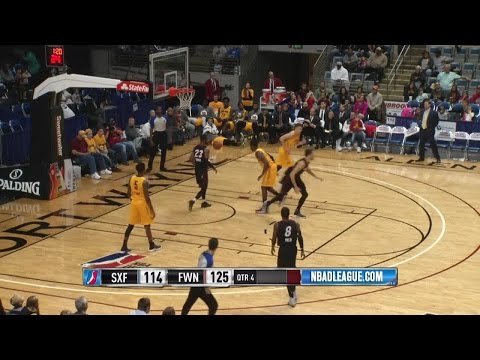 Stefan Jankovic posts 19 points & 9 rebounds vs. the Mad Ants, 11/20/2016