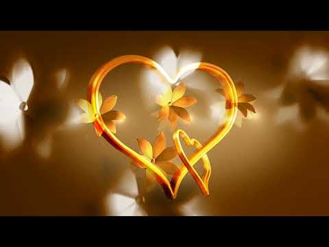 Love & Flower Loop 4K Ultra HD Video Background UBAID TECH