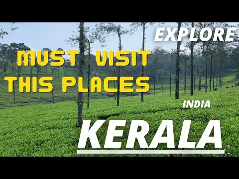 Kerala India trip | waterfalls | tea town | churches | beaches | hills |Temples | paradise | CARtrip