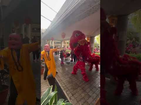 HKSCSA 舞獅表演PART 1 - 精武莫偉明師傅將軍澳英明苑 同慶新春嘉年華2025 #九人行必有我師 #團隊的力量