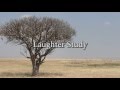 Laugh Study With Hadza Participants