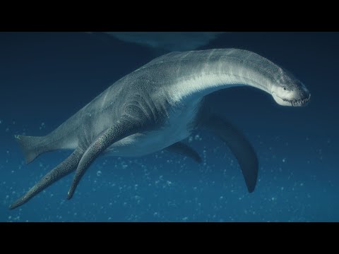 Early Evolution of Plesiosaurs