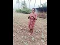 Santhalakshmi Daily Routine Santhalakshmi Vlog Desi Garden Work Vlog Santhalakshmi Dailyvlogs