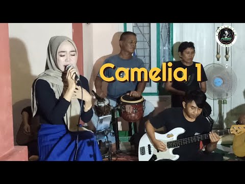 Forsa kotim,Camelia 1