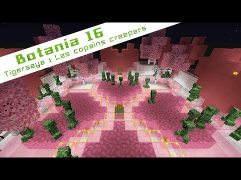 Botania de A à Z :16 Tigerseye : les copains creepers