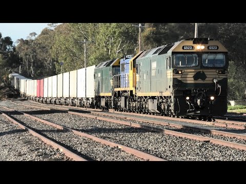 G523-X50-G539 on 7901V seen at Dunolly.  11-09-21.