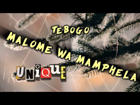malome wa mamphela ( Brian Bomba ) Mix - Tebogo