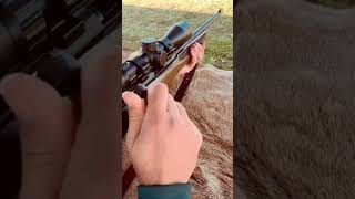 Download lagu Savage B22 Bolt Action Rifle 22LR #Guns mp3 Download lagu Savage B22 Bolt Action Rifle 22LR #Guns mp3