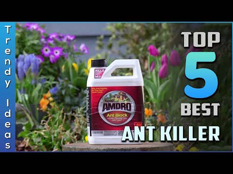 image-What happened to Grant ant stakes?