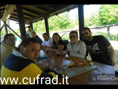 Insayt la codificazione da alcool La codificazione da alcool di sklifosovskiya