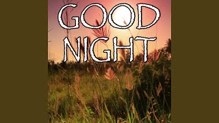 Good Night - Tribute to Billy Currington and Jessie James Decker (Instrumental Version)