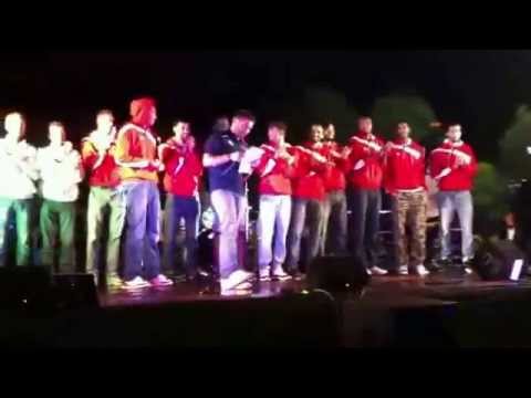 Consultinvest PESARO 2014-2015