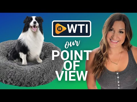 Dog Bed - WTI product video review