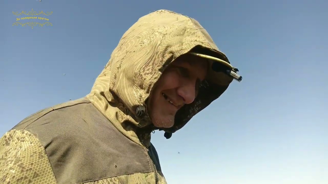 Воркута. 02.08.25. Тундра, солнце, комары!