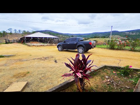 FAZENDA SANTA CLARA JOAIMA MG / VÍDEO 12/11/2025