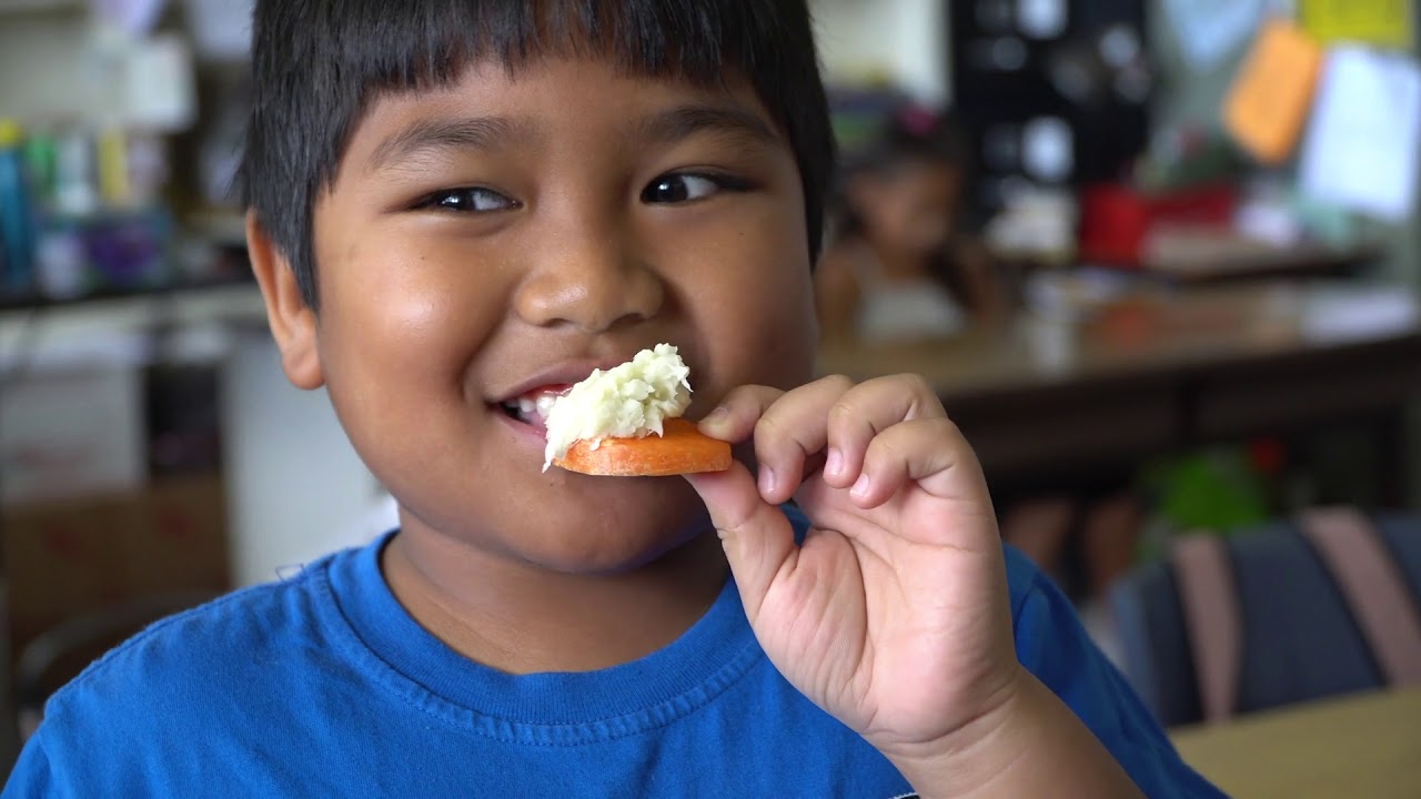 Hawaii Institute of Pacific Agriculture (HIP Ag) K-20 Educational Pipeline